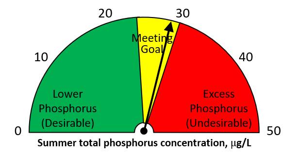 Summer 2021 total phosphorus = 29 ug/L